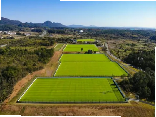 如何避开人潮？提前预订交通便利的草坪球场住宿