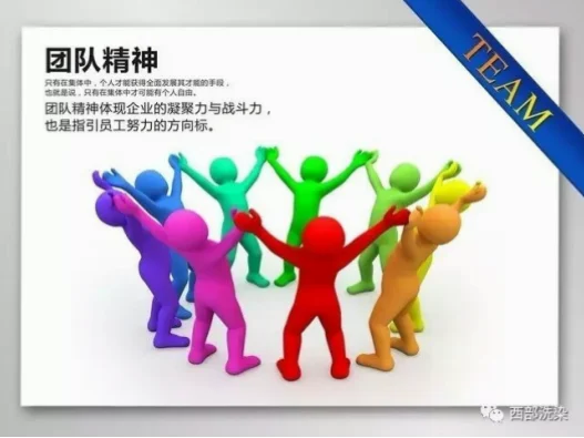 团队协作才是核心，你却只看到随意？